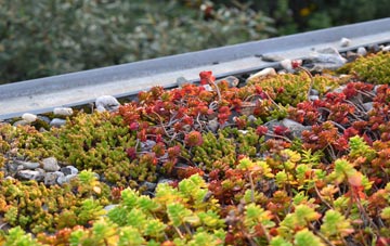 the cost of Cwm Dulais green roof installation