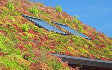 Cwm Dulais living roof systems