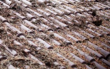 Cwm Dulais roof cleaning companies