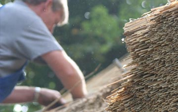 professional Cwm Dulais thatchers